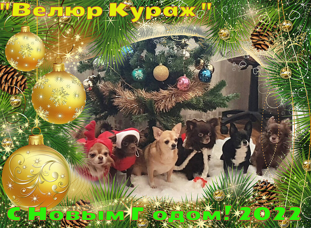 10_3_loonapix_16406019025523180.jpg