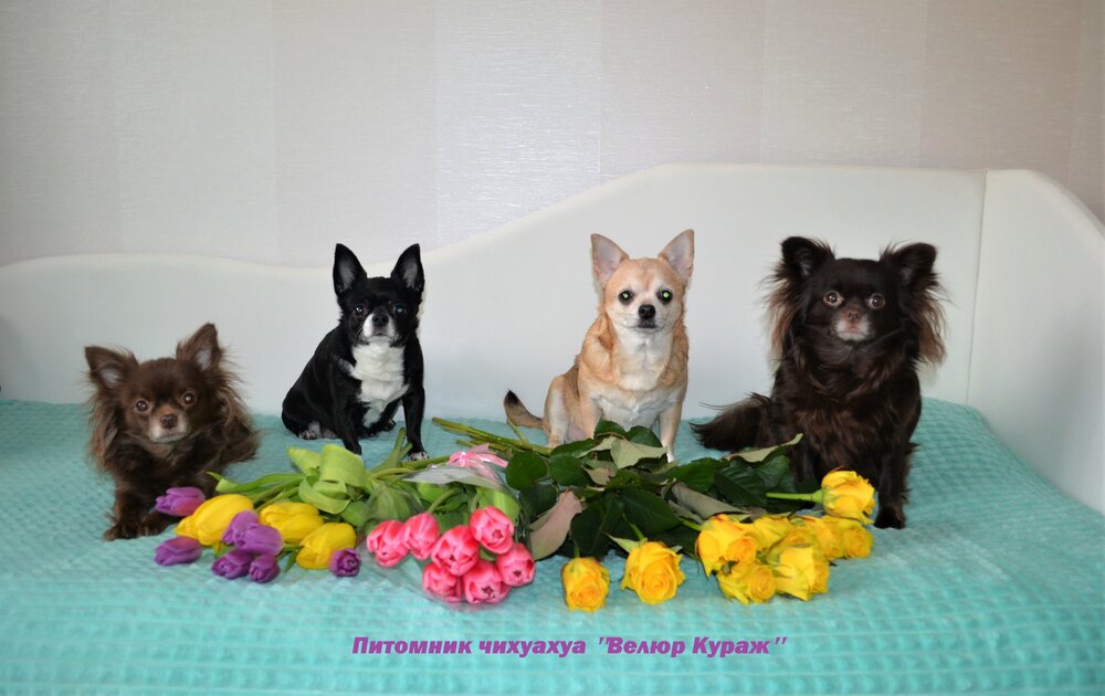 10_3_08032022 1 с подписью.JPG
