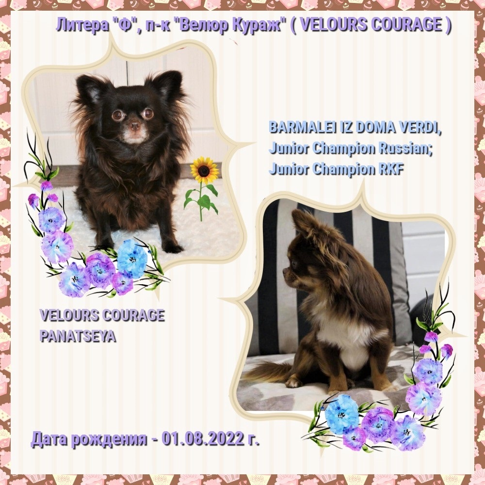 10_3_Литера Ф.jpg