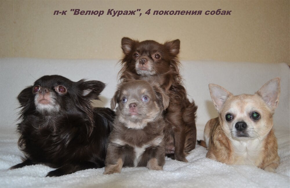 10_3_DSC_0206.JPG