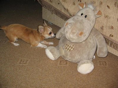 1_финти 2 006.jpg