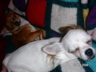 1_PICT0004.jpg