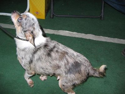 1_финти 2 177.jpg