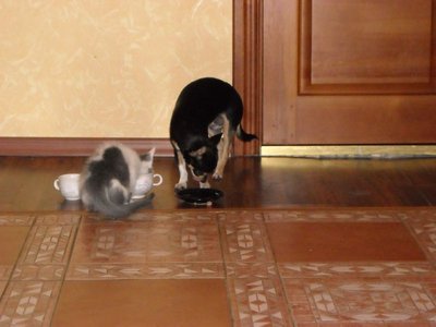 1_Тесты 068.jpg