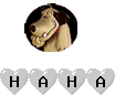 1_9fd041d07ab1f3e63f662a0b125c0a4e.gif
