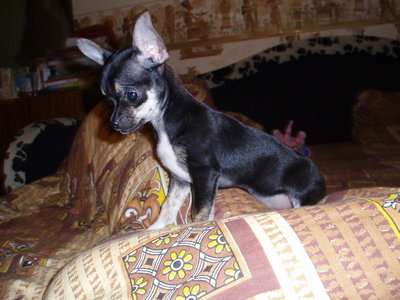 1_PA100041.jpg