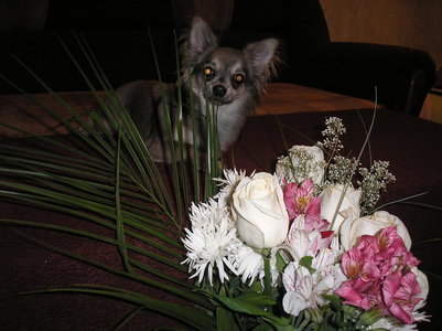 1_PB030020.jpg