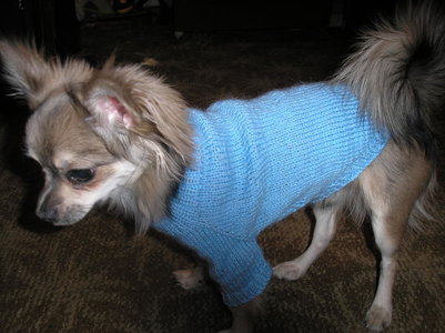 1_PB110027.jpg
