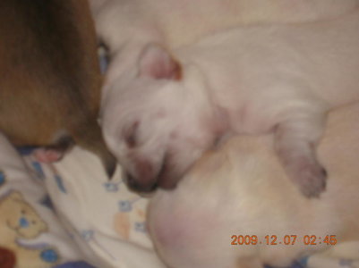 1_DSCN6937.jpg