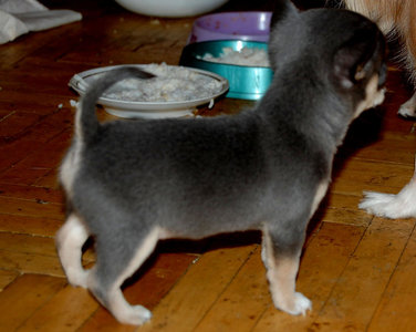 1_DSC_0091.jpg