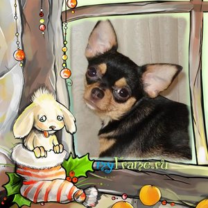 1_myFrame.ru (12).jpg