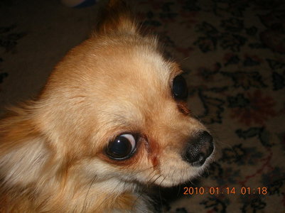 1_DSCN7305.jpg