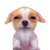 1_3de09d54e15c298ae72eddb4f36375ff.gif