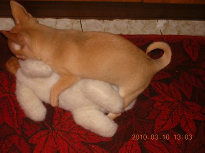 1_DSCN7587.jpg