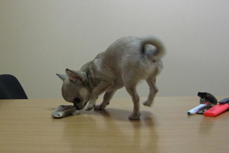1_199.jpg