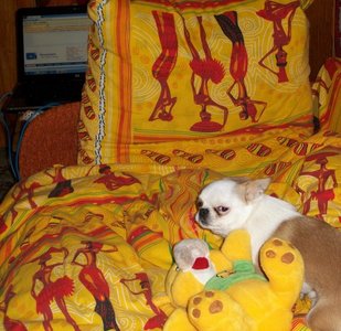 1_100_0381.jpg