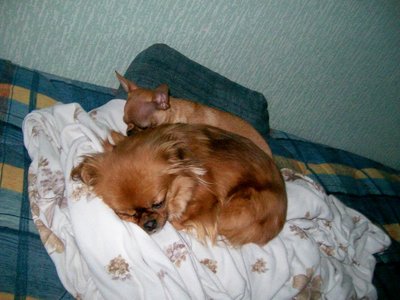 1_100_4085.jpg