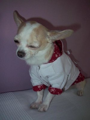 1_апрель 2010 337.jpg