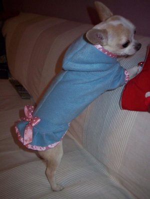 1_апрель 2010 384.jpg