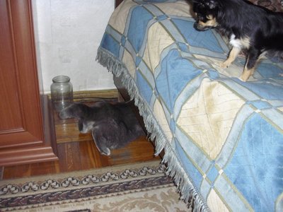 1_x_13462ae1.jpg