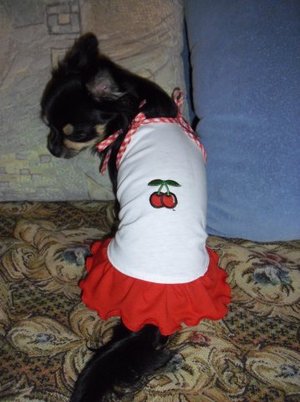 1_x_150826ab.jpg