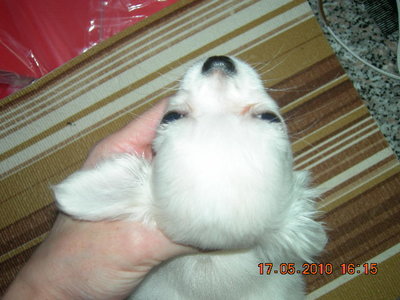 1_DSCN4188.jpg