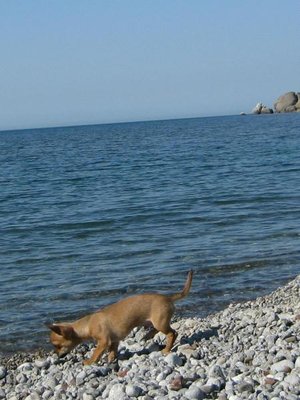 1_IMG_7818 (1).jpg