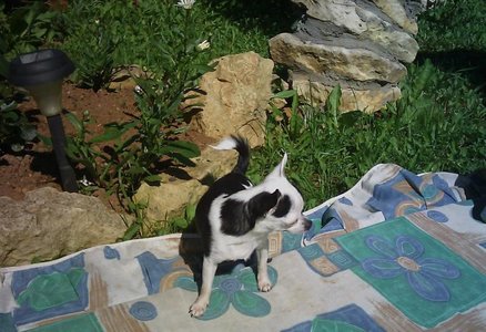 1_IMAGE_140.jpg