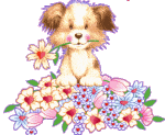 1_cf65fbd779e9375fcd0f90047bf0f9dd.gif