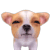 1_1111111111111111111111.gif