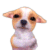 1_2222222222222.gif