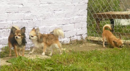 1_Juni&2s022.jpg