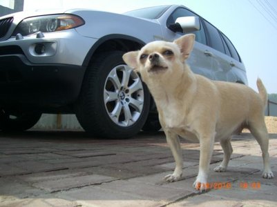 1_CIMG5128.jpg