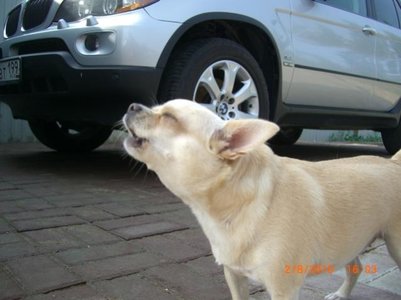 1_CIMG5112.jpg