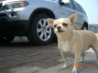 1_CIMG5123.jpg
