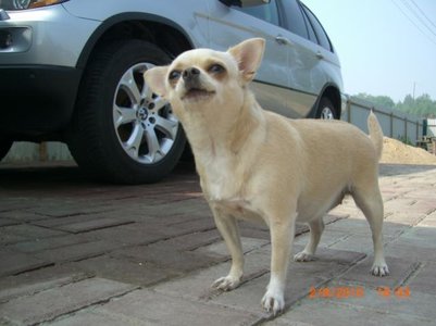 1_CIMG5127.jpg