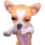 1_dogs-1249.gif