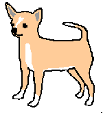 1_an115.gif