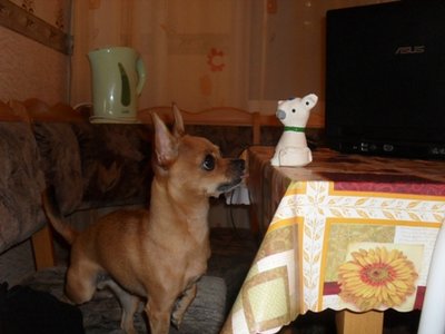 1_SDC11194.JPG