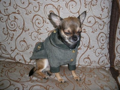 1_чих1079.jpg