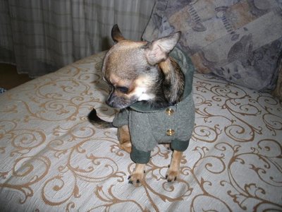 1_чих1083.jpg