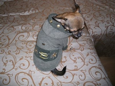 1_чих1082.jpg