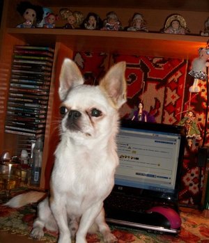 1_100_3036.jpg