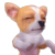 1_41_все_в_отрыве.gif