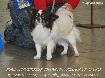 1_x_f2102e66.jpg