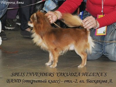 1_x_122d0369.jpg