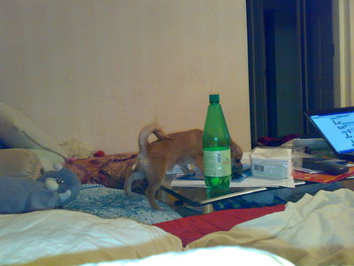 1_040520102382.jpg