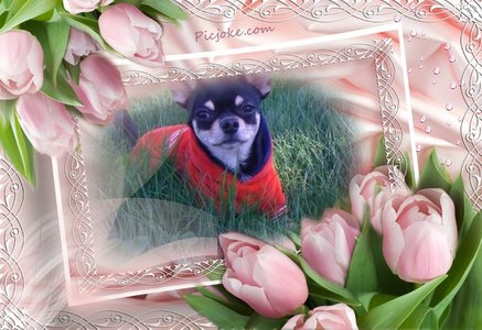 1_8-ru-be861c753772bb7ae0e63aa4bbc77feb.jpg