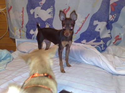1_220520101865.jpg