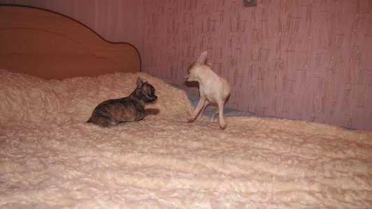1_Изображение 012.jpg